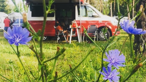 CALI Red/Grey – Volkswagen California Coast Red/Ascot Gray (2022)