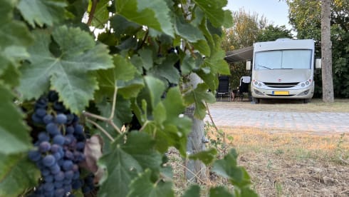 Spacious Luxury Camper 4/5p | hp 170 | transverse bed & lifting bed | complete inventory 