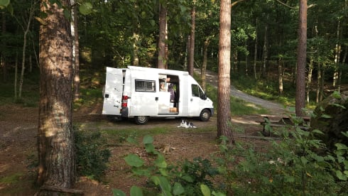 On an adventure with a reliable bus camper.