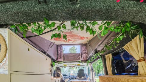 Alice The Van – Künstlerischer Dschungelcamper