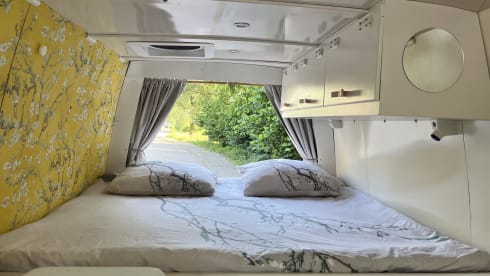 Albatros – The ultimate off-grid camper van: indoor shower, electric cooking and more