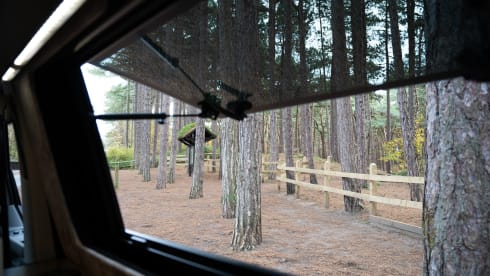 Meeko – 4 Berth Volkswagen T6.1 Campervan 