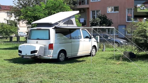 2 to 6 persons Volkswagen Style VAN