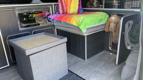 Shiloh  – 2 berth Volkswagen campervan from 2012