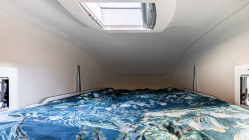 klein maar dapper  – 2 Ford bus nugget from 2019