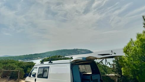 Andrea  – California Carthago