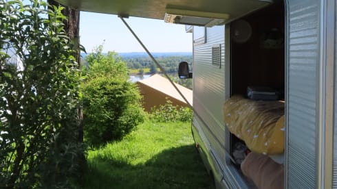 De Roze Olifant – Spacious family camper - 7p Ford alcove from 1998 