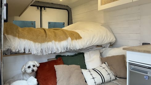 Dolly – 3p Peugeot bus uit 2013