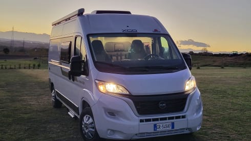 XVAN 102 - DUCATO 599