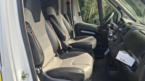 4p Fiat bus uit 2021