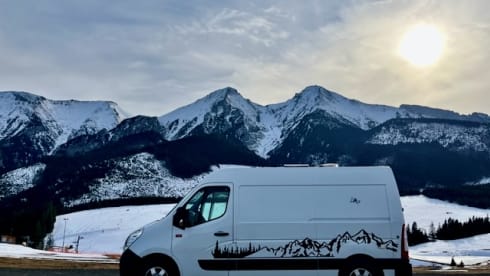 2p Renault campervan uit 2016
