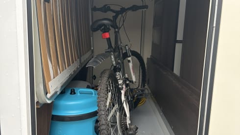 Frankie –  Frankie 6 berth Roller Team 