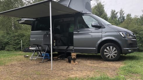 Luxury Volkswagen bus 6.1 California Ocean