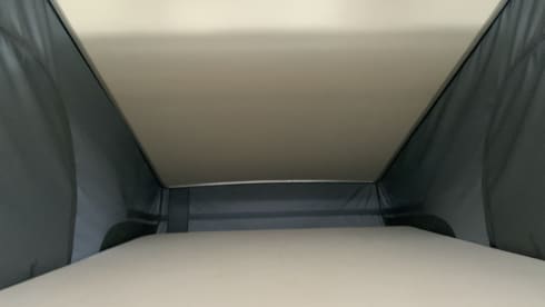 Flavio – Dreamer 4-seater van