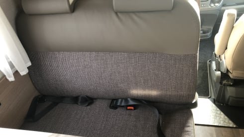 Kuifje – Top motorhome 6 persons
