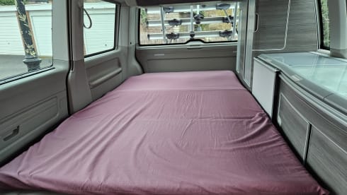 Billy – 4 berth Volkswagen California Ocean 2017