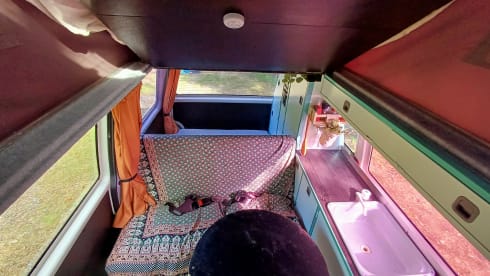 Jente – 4p Westfalia T4 campervan with lifting roof