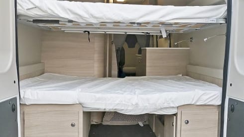 Forster V599VB – Forster V599VB