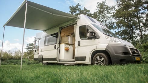 Beautiful unique Bus camper