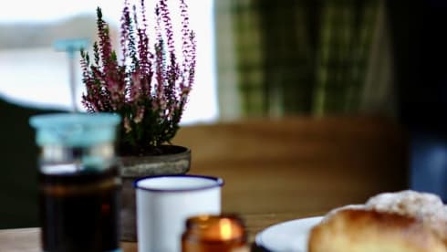 Tess – super cosy  - automatic campervan. price  includes insurance !