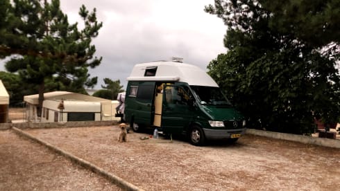 2p Mercedes-Benz Bus camper from 1996