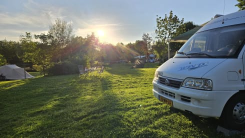 Fox – 3p Adria Mobil bus from 2003