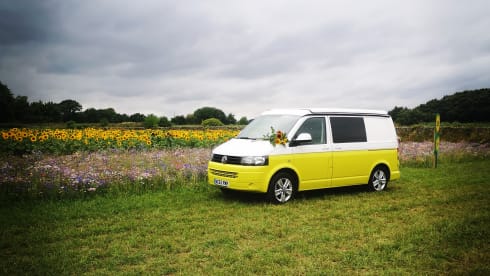 Daisy – 4 berth Volkswagen Camper Van (newly converted 2022)