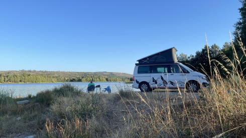 Spantik – 4p Volkswagen campervan from 2022
