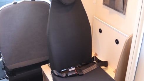 T447 editie – 4p Carado semi-integrated uit 2026