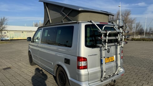 bear hunter – 4p Volkswagen California T5 bus 