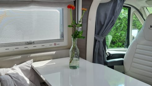 4p McLouis semi-integrated uit 2019