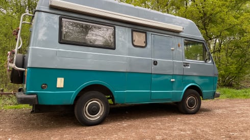 Blauwe Kiwi (VW LT28) – Rent a Volkswagen LT classic retro camper for unprecedented adventures!