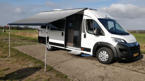 Luxury Pössl bus camper 640 with length beds