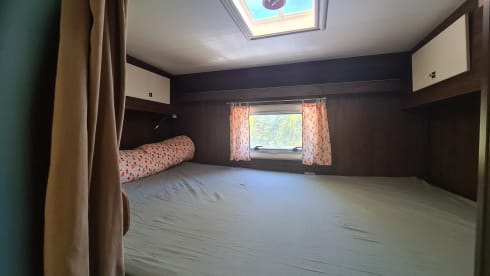 All-in holiday with the camping bear