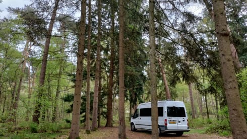 Ben the Van – 2-seater Ford campervan from 2008