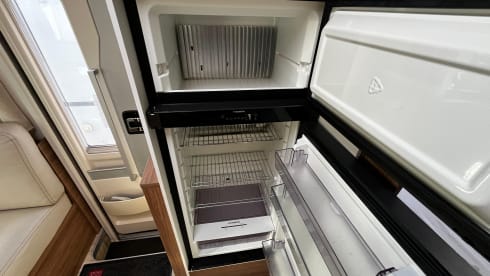 P726P  – 5p Pilote semi-integrato dal 2021