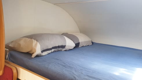 Signor Spock – It all starts here