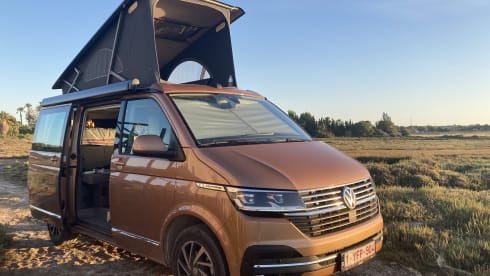 Copper Bronze – VW California Ocean T6.1