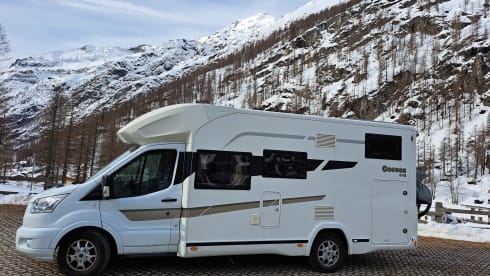 4p Benimar semi-integrated from 2018