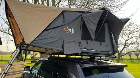 Trailhawk – 2p Other rooftop from 2018