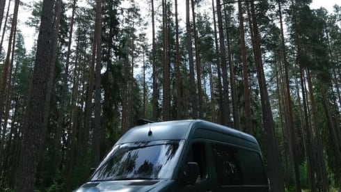 Ome Jan  – Bus Mercedes-Benz 2p de 2011