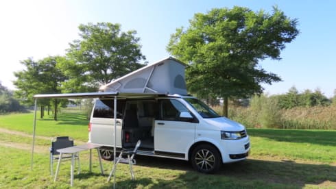 Buzz – VW California Comfort Line (T5)