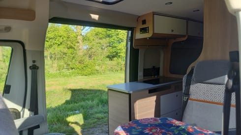 4p camper bus automatic from 2021