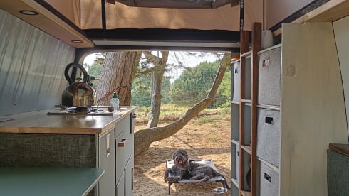 VW Bussy – Volkwagen T5 with outdoor kitchen
