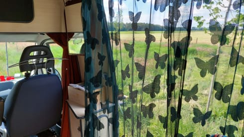 2p attractive, spacious, light Fiat bus camper