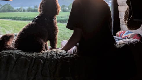 Woody – Adventures for explorers