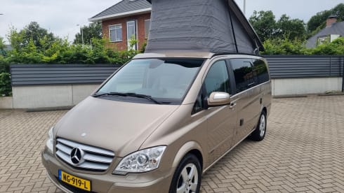 2-person Mercedes-Benz campervan from 2011