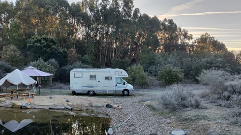 Perfecte reisgenoot voor het gezin 