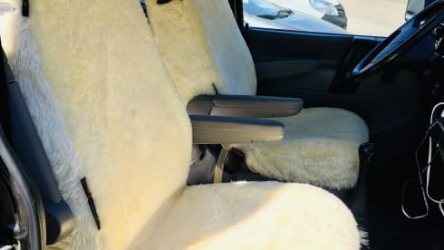 Willem – Willem de Volkswagen