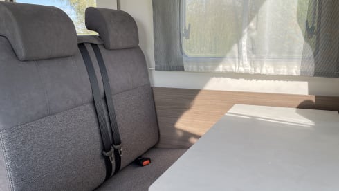 Carado T447 Edition 24